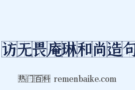 访无畏庵琳和尚造句是什么意思的图片